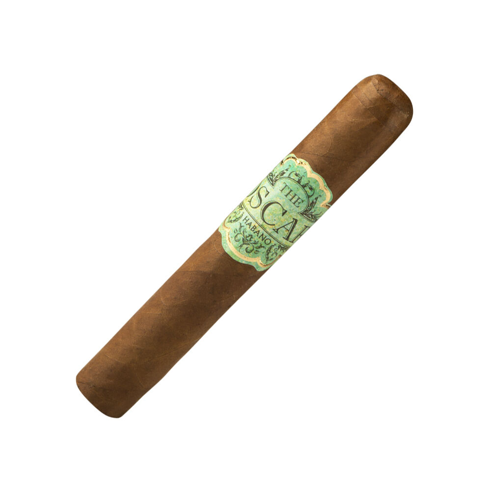 Robusto, , jrcigars